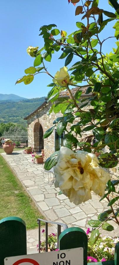 Готель Poggio Al Sole Ф'єзоле Екстер'єр фото